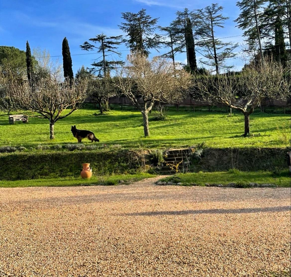 סיינה Agriturismo La Corte Del Sole מראה חיצוני תמונה