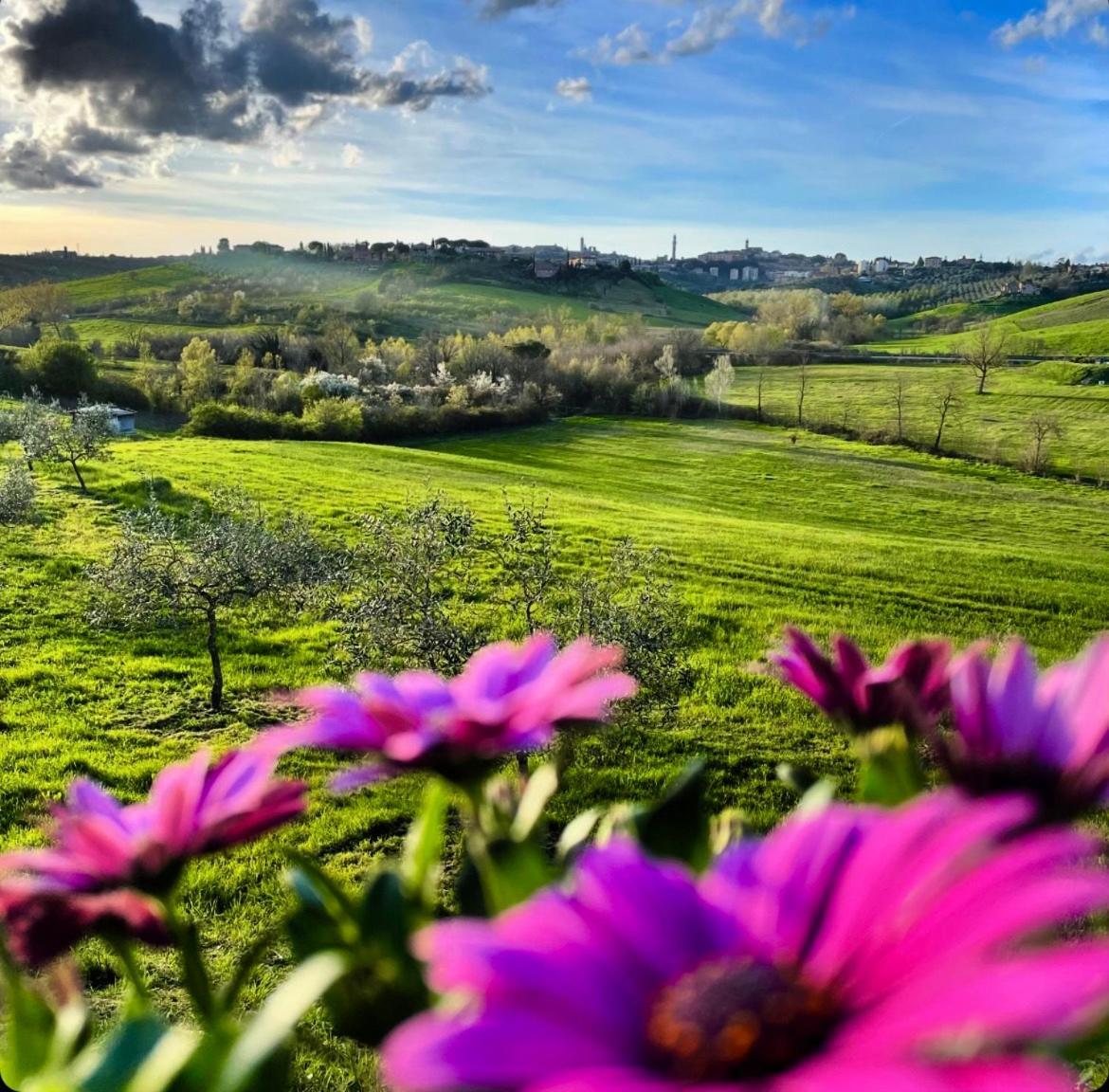 סיינה Agriturismo La Corte Del Sole מראה חיצוני תמונה