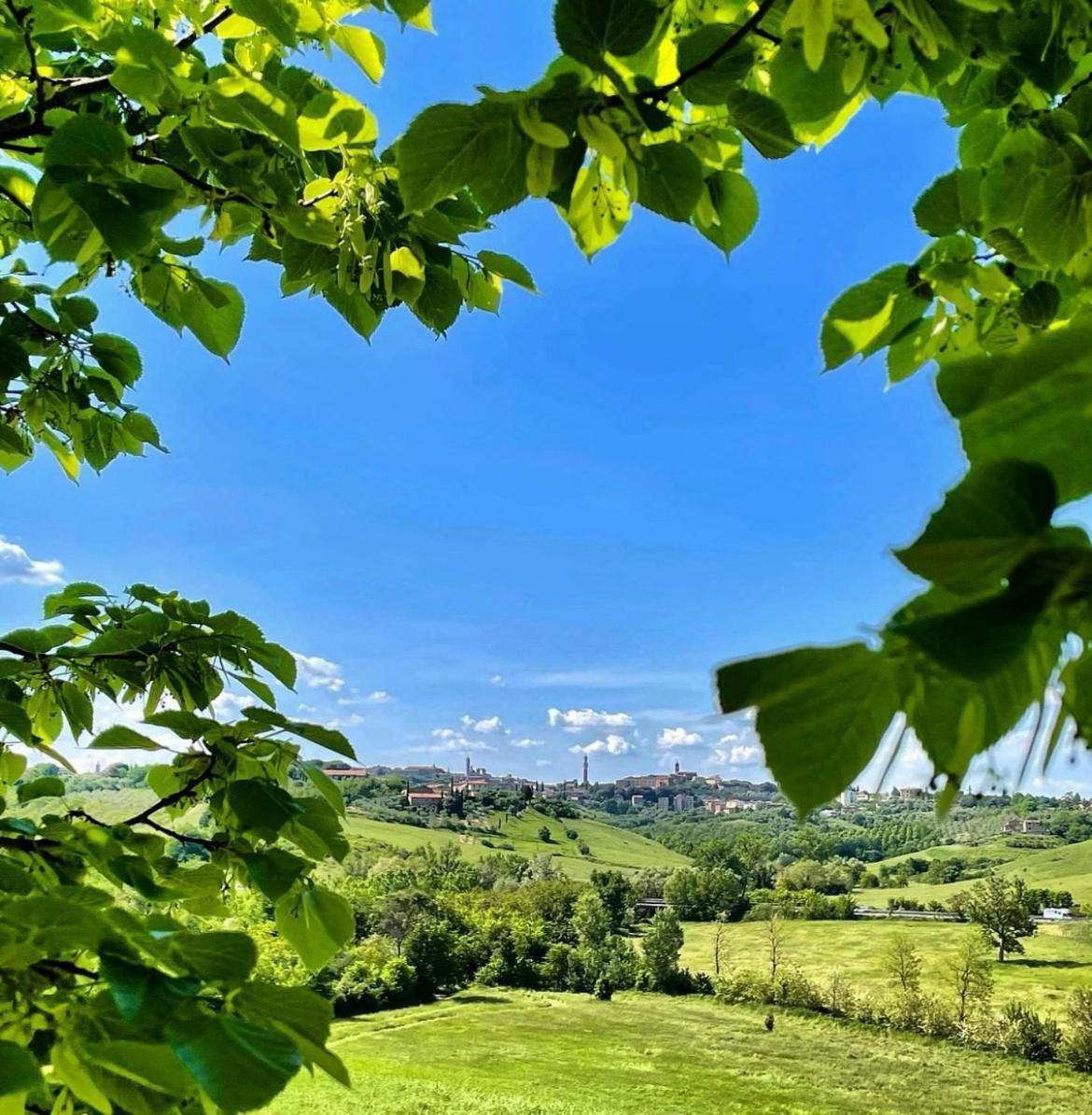 סיינה Agriturismo La Corte Del Sole מראה חיצוני תמונה