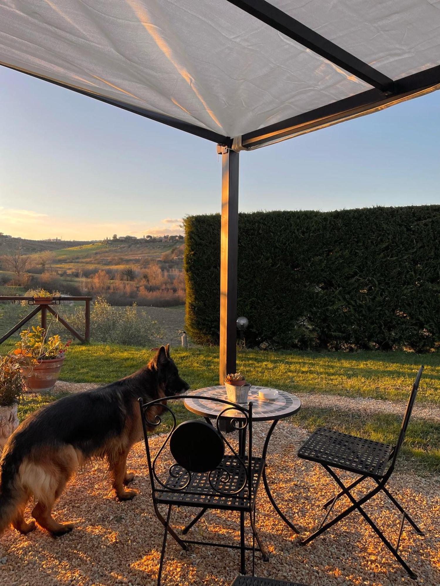 סיינה Agriturismo La Corte Del Sole מראה חיצוני תמונה