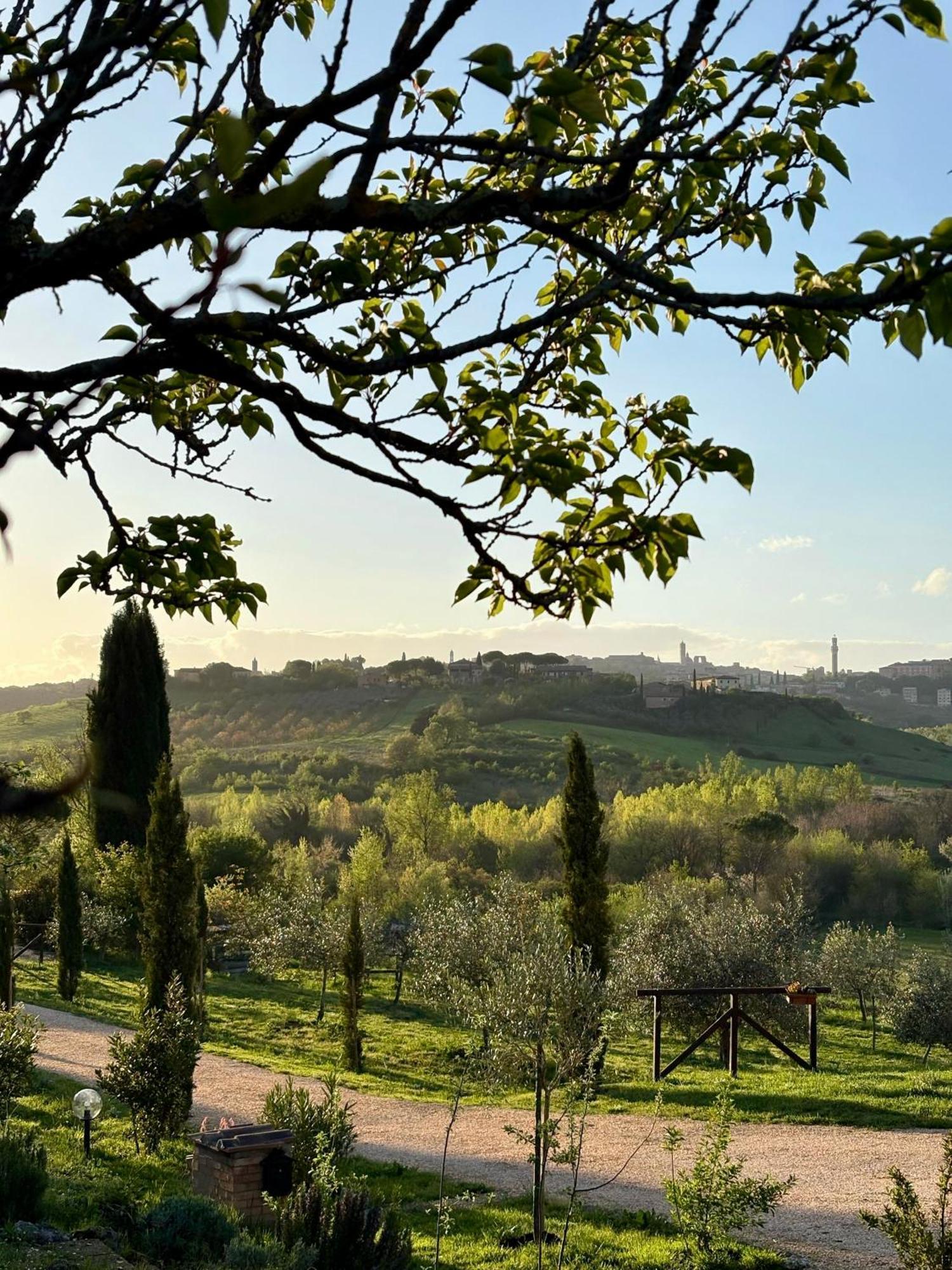 סיינה Agriturismo La Corte Del Sole מראה חיצוני תמונה